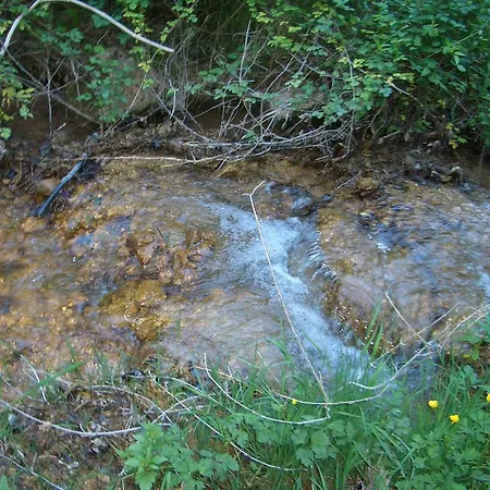 Ristorante Fiorelli 酒店