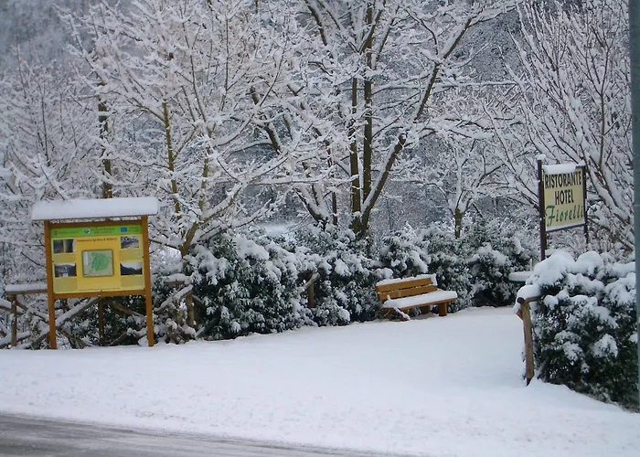 Hotel Affittacamere Ristorante Fiorelli *