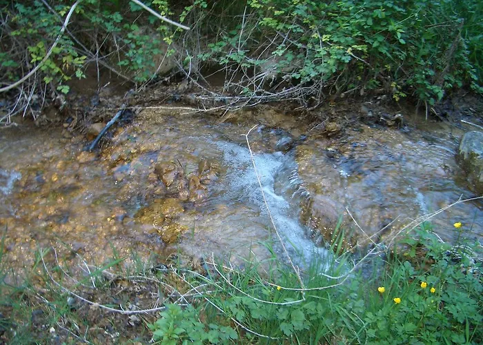 Affittacamere Ristorante Fiorelli Hotel